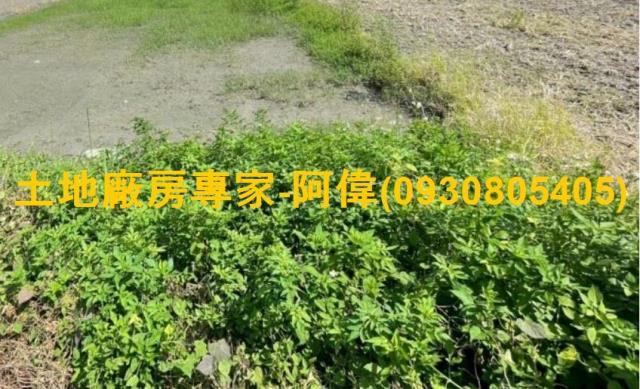 林園農地-1