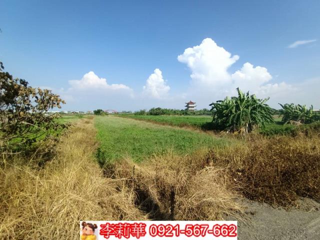 將軍農地-14
