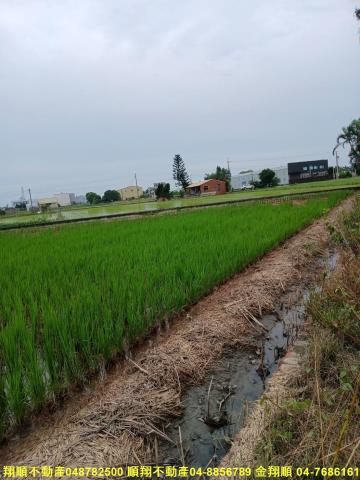 彰化建地-4