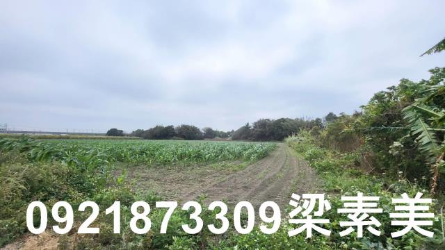 台南善化農地-6