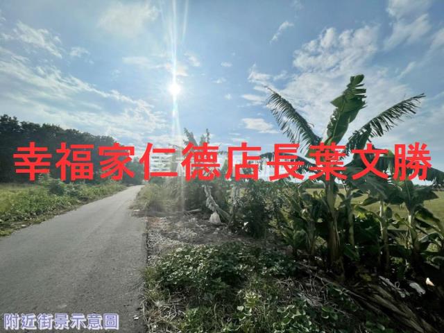 台南新市農地-11