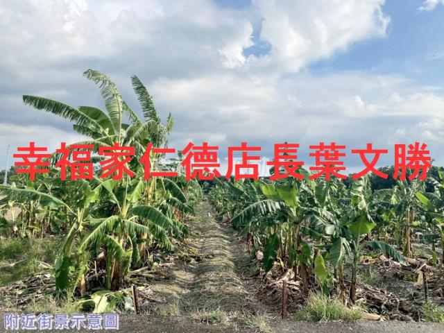 台南新市農地-3