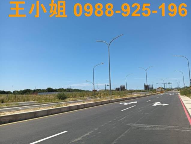 桃園大園建地-4