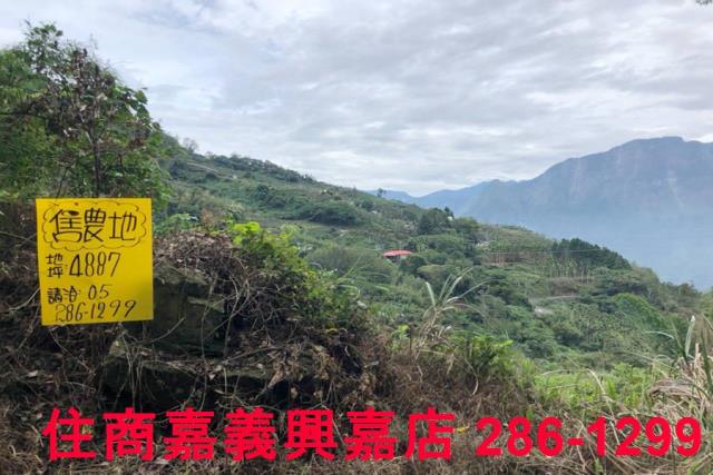 嘉義梅山農地-6