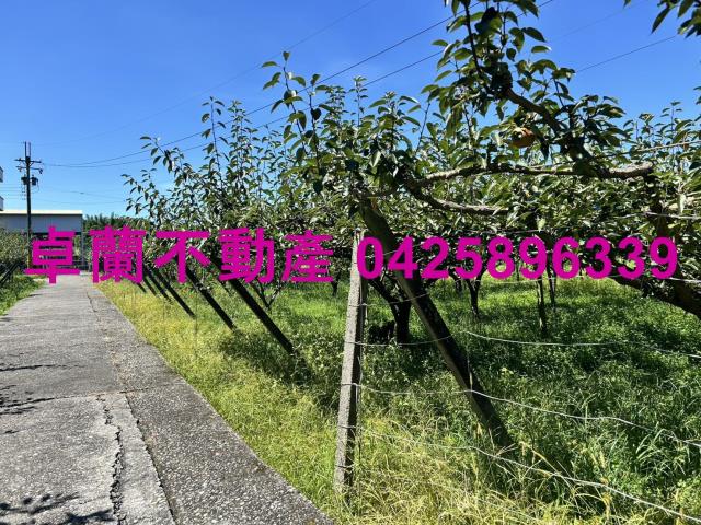 苗栗卓蘭農地-4