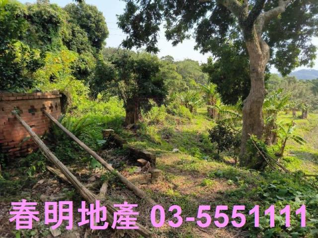 新竹竹東公園用地-1