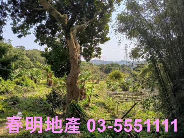 新竹竹東公園用地-3