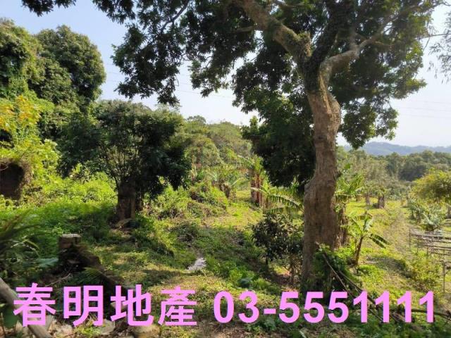 新竹竹東公園用地-5