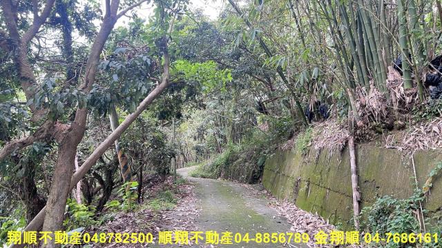 台中太平山坡地-2
