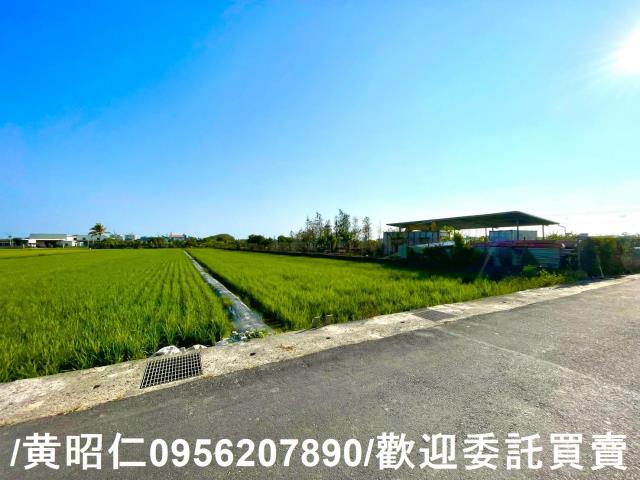 歸仁農地-10