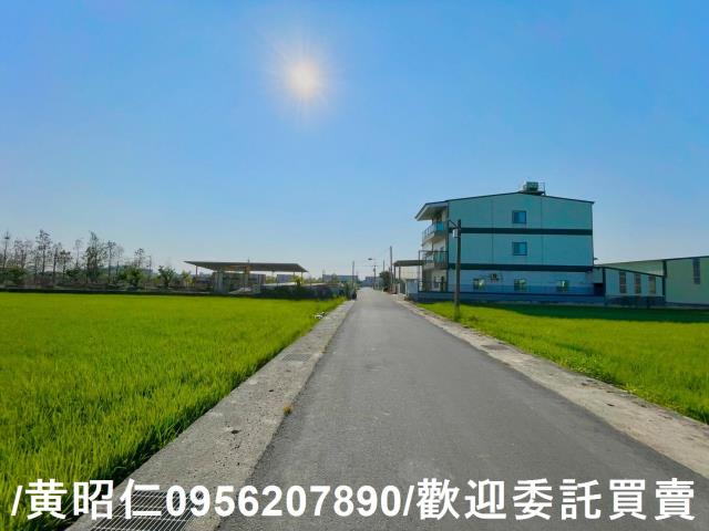 歸仁農地-12