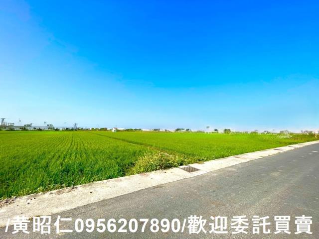 歸仁農地-14