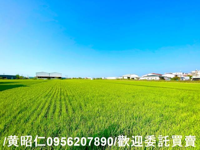 歸仁農地-3