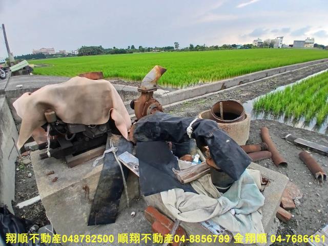 埔心農地-2