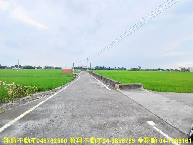 埔心農地-7