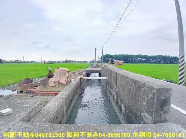 埔心農地-9