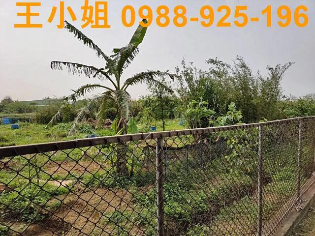 新屋農地-12