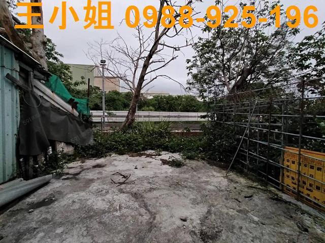 新屋農地-9