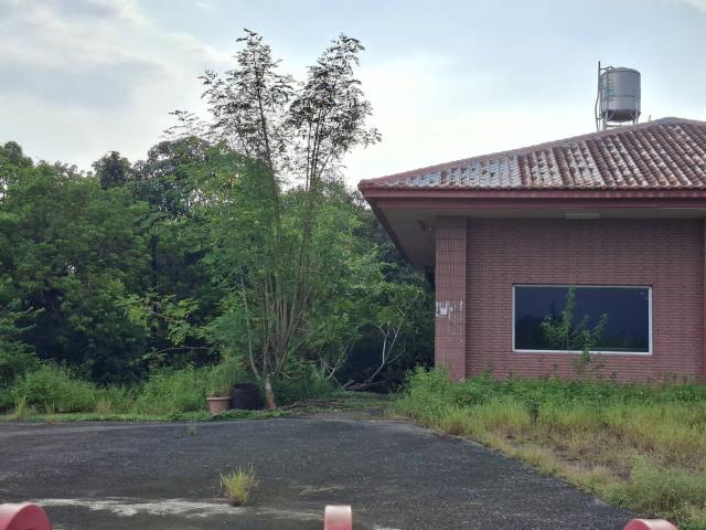旗山農地-2