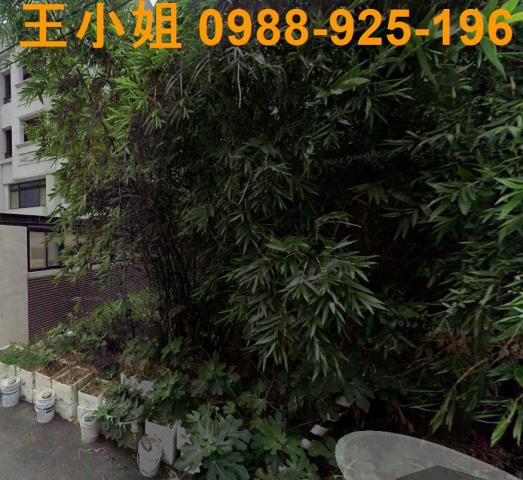 蘆竹建地-2