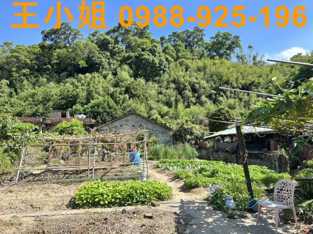 蘆竹農地-15