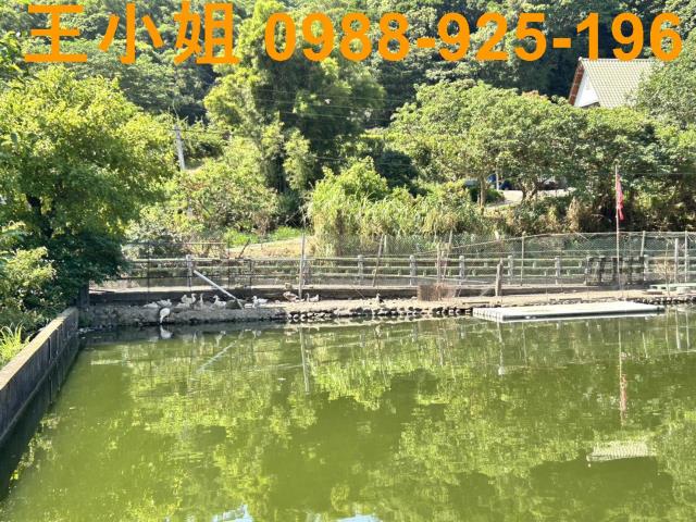 蘆竹農地-4