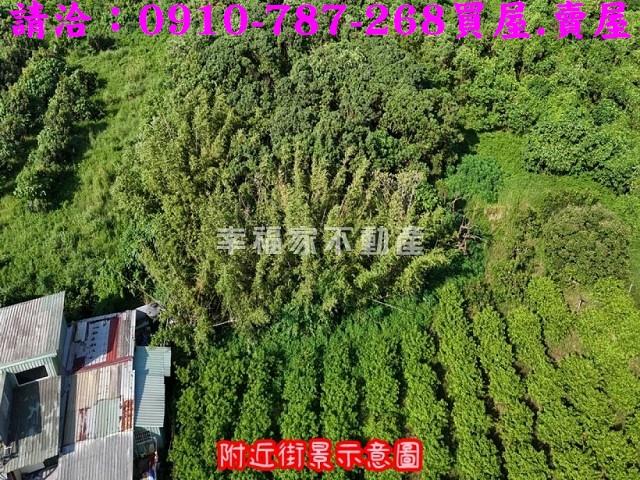 台南農地-8