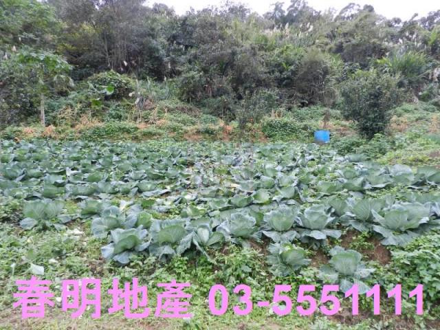 新竹農地-12