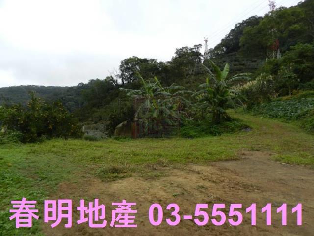 新竹農地-1