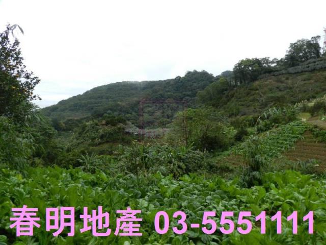 新竹農地-3