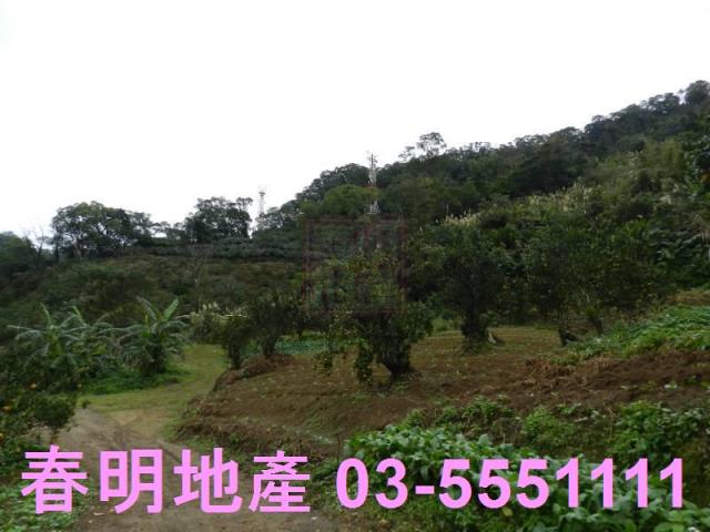 新竹農地-5