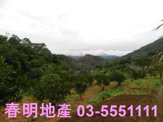 新竹農地-6
