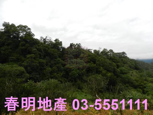 新竹農地-7