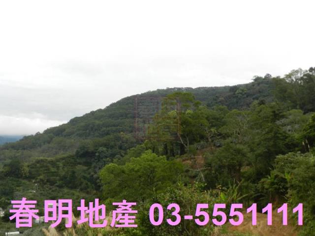 新竹農地-9