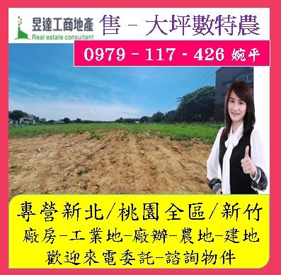 桃園農地-1