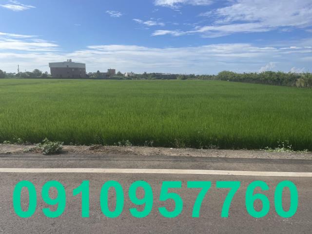 桃園觀音農地-2