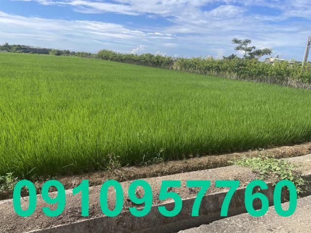 桃園觀音農地-3