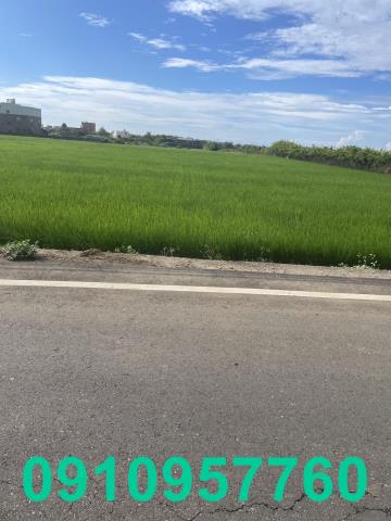 桃園觀音農地-4