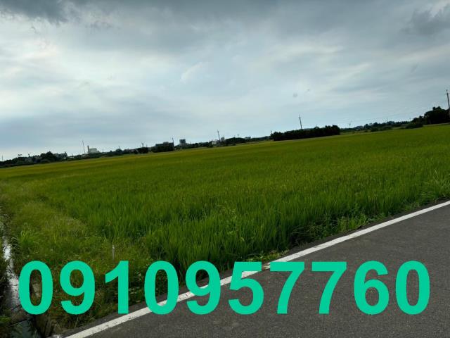 桃園觀音農地-2