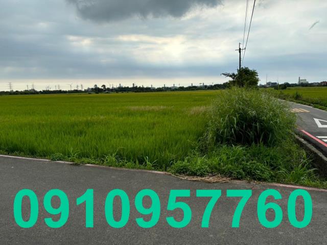 桃園觀音農地-3