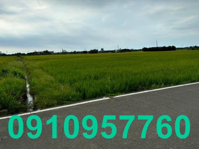 桃園觀音農地-5