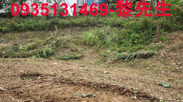 新竹竹東農地-6