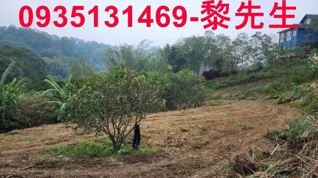 新竹竹東農地-9