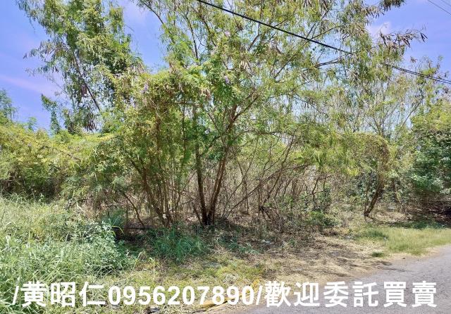台南安南農地-2