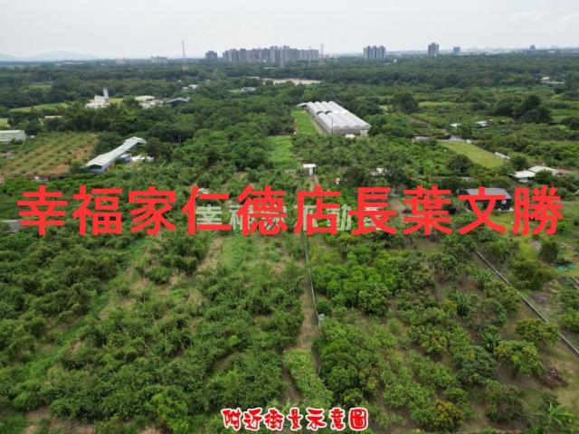 歸仁農地-5
