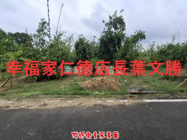 歸仁農地-9