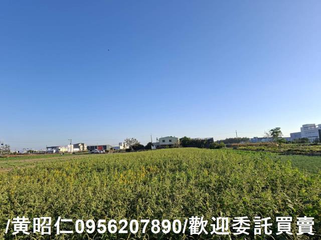 安定農地-5