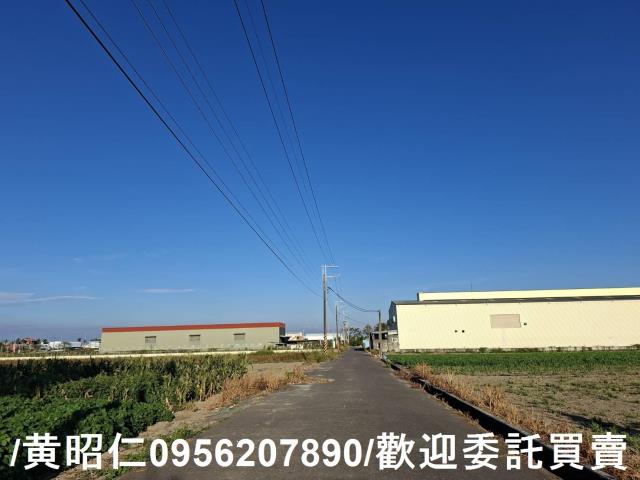 安定農地-6