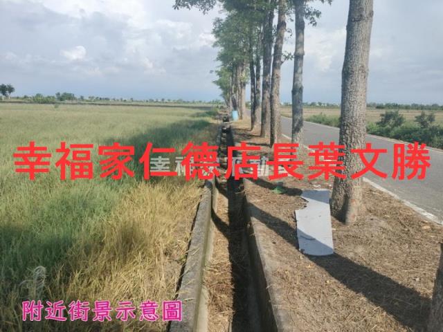 佳里農地-4