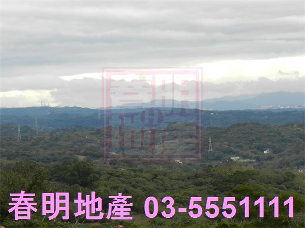 新埔農地-8